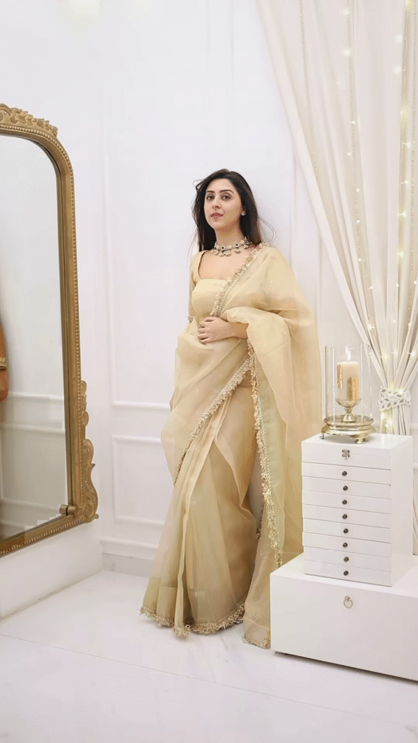 Classic Fawn Stone Embellished Saree – A Perfect Blend of Grace and Glamour - Image 4